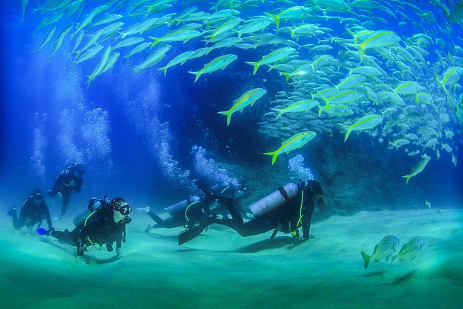 Cabo San Lucas Beginner Scuba Diving Experience - Support and Assistance