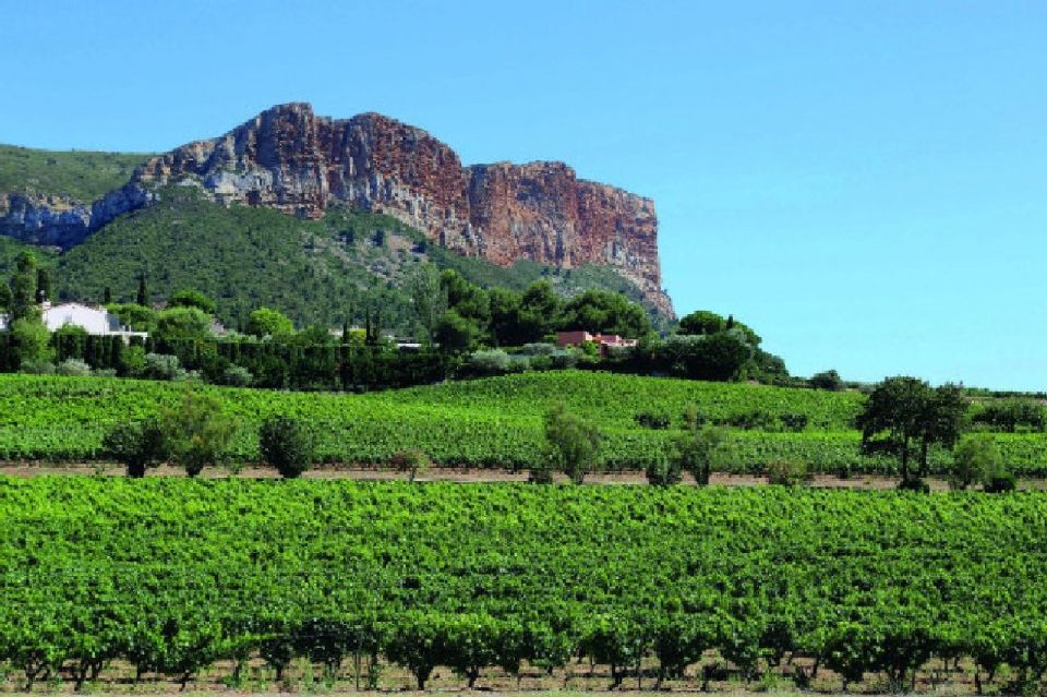 Calanques of Cassis, Aix-en-Provence & Wine Tasting Day Tour - Experience in Aix-en-Provence