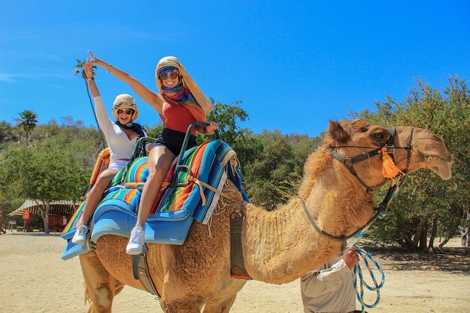 Camel Quest With Snacks & Waterslides - Cancellation Policy Details