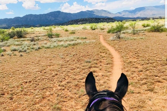 Camp Verde Small-Group Scenic Horseback Ride  - Flagstaff - Participant Information