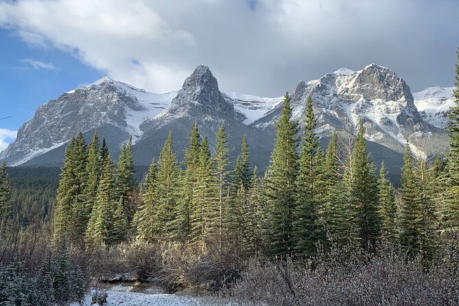 Canmore Wildlife Safari Drive and Walk in the Rocky Mountains - Inclusions and Amenities