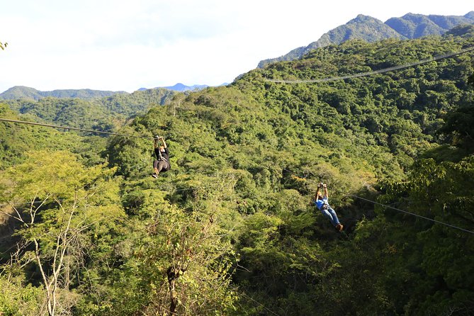 Canopy River Zipline Tour and Mule Ride - Tour Highlights