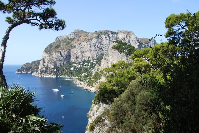 Capri and Anacapri Day Tour From Sorrento - Anacapri Exploration and Villa Visit