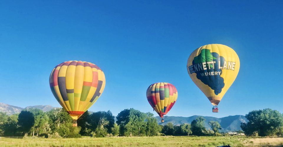 Carson City: Hot Air Balloon Flight - Experience Highlights of the Balloon Tour