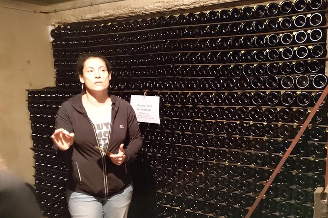 Champagne Lamiable: Traditional Tour & Tasting - Tour Highlights