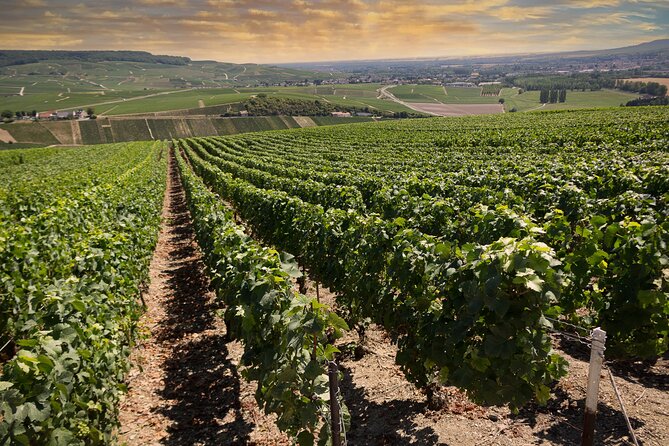 Champagne Tasting Tour Day Trip From Paris - Logistics and Booking Details