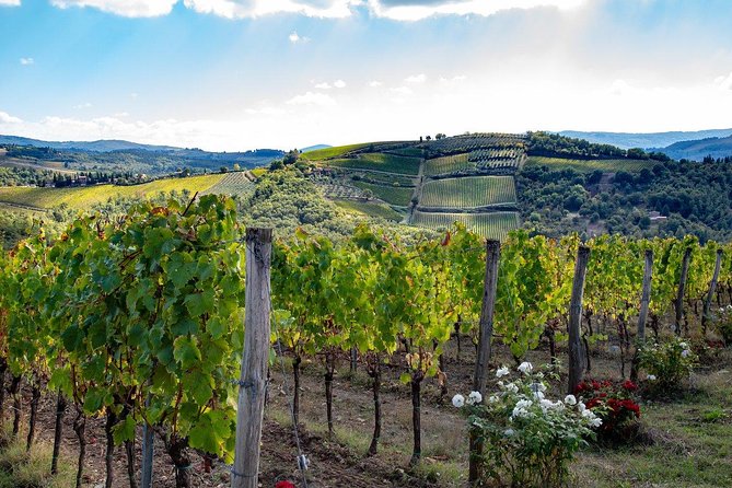 Chianti Safari: Tuscan Villas With Vineyards, Cheese, Wine & Lunch From Florence - Inclusions and Amenities