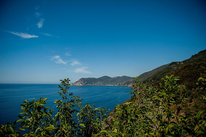 Cinque Terre Day Trip From Florence With Optional Hiking - Cancellation Policy Details