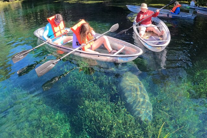 Clear Kayak Manatee Ecotour of Crystal River - Meeting and Pickup Details