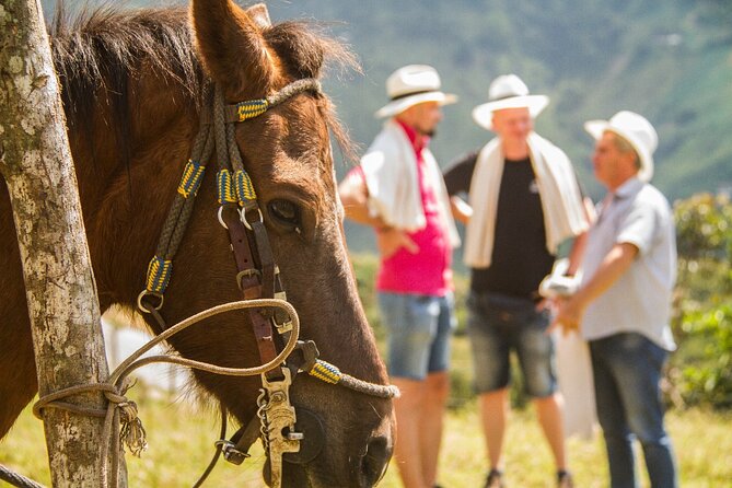 Coffee Tour In Horse Riding and Lunch In Medellin - Guest Reviews