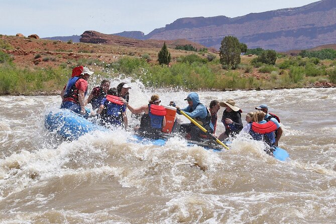 Colorado River Rafting: Half-Day Morning at Fisher Towers - Customer Experience and Reviews