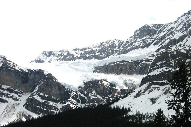 Columbia Icefield Adventure 1-Day Tour From Calgary or Banff - Inclusions and Customer Feedback