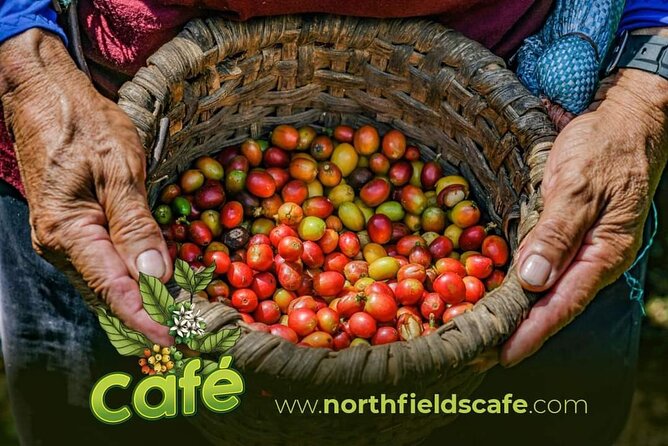Costa Rican Coffee and Chocolate Crafting Experience: North Fields Cafe - Booking and Cancellation Policy