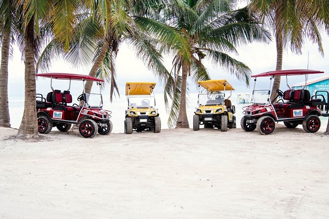 C&S (4 Seater) Golf Cart Rentals - Logistics and Accessibility Information