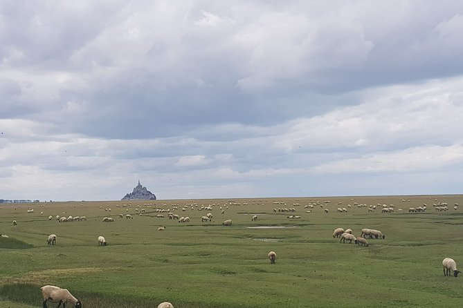 Day Trip to Mont Saint-Michel and Saint-Malo From Rennes With Driver-Guide - Day Trip Itinerary Highlights