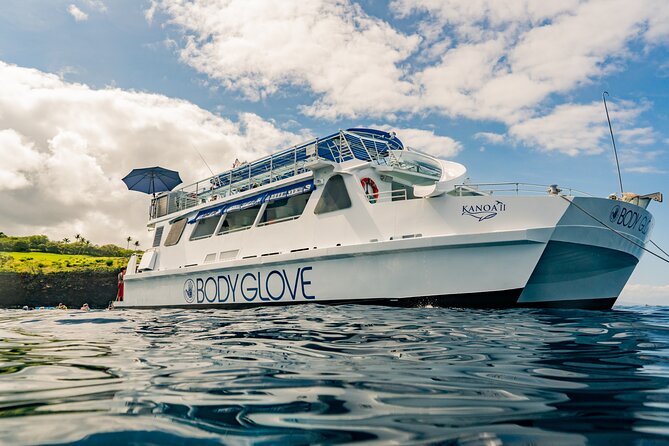 Deluxe Snorkel & Dolphin Watch Aboard a Luxury Catamaran From Kailua-Kona - Traveler Reviews
