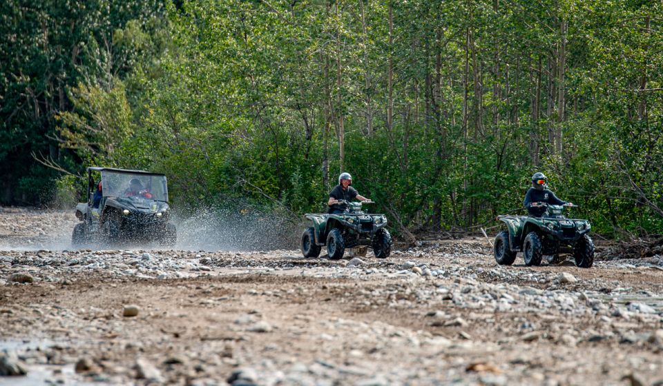 Denali National Park: Wilderness ATV Adventure - Full Experience Description