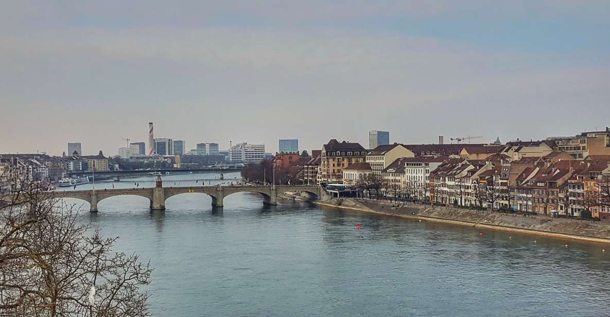 Discover Basel's Charm: Exclusive Private Walking Tour - Accessibility and Convenience