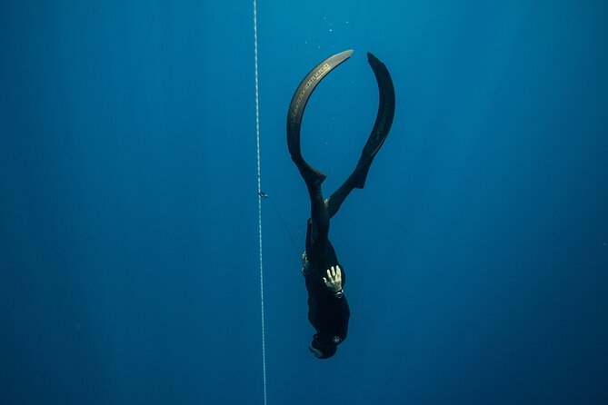 Discover Freediving Course - Equipment Included