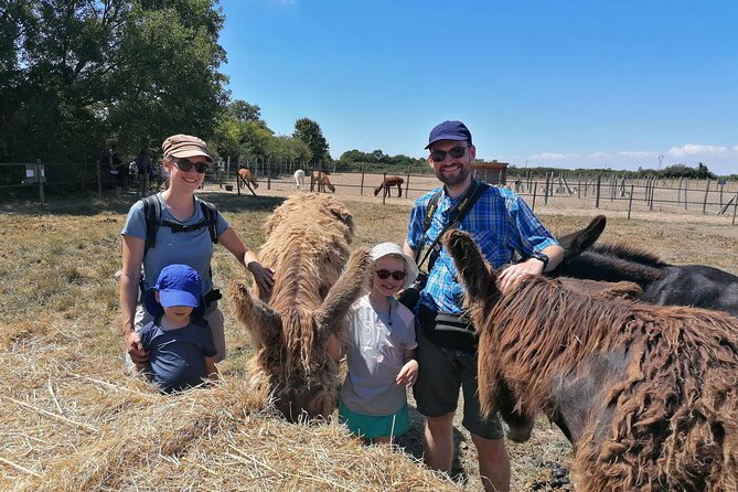 Discovery Day Following in the Footsteps of the Poitou Donkey - Interactive Activities With Poitou Donkeys