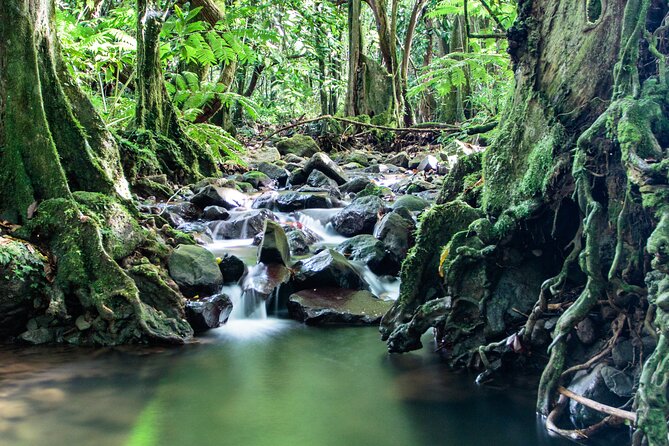 Discovery of Photography in Moorea, Photo Tour & Class - Photography Equipment Provided