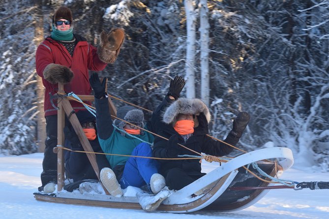 Dog Sledding and Mushing Experience in North Pole - Customer Reviews