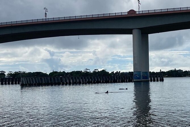 Dolphin and Manatee Stand Up Paddleboard Tour in Daytona Beach - Experience Level and Group Size