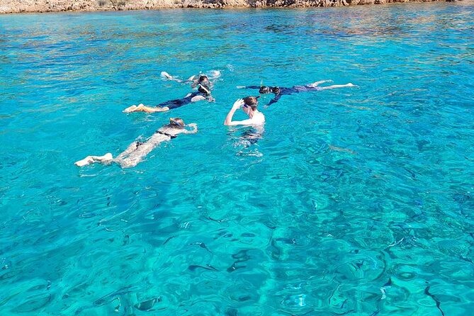 Dolphin Watching Tour With Snorkeling From Olbia - Customer Experience