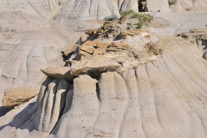 Drumheller (Dinosaur Valley) & Horseshoe Canyon 1-Day Tour - Cancellation Policy