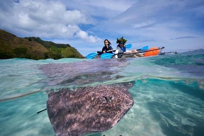 Eco Guided Excursion to the Lagoon of Moorea in a Transparent Kayak Afternoon 2h - Logistics and Requirements