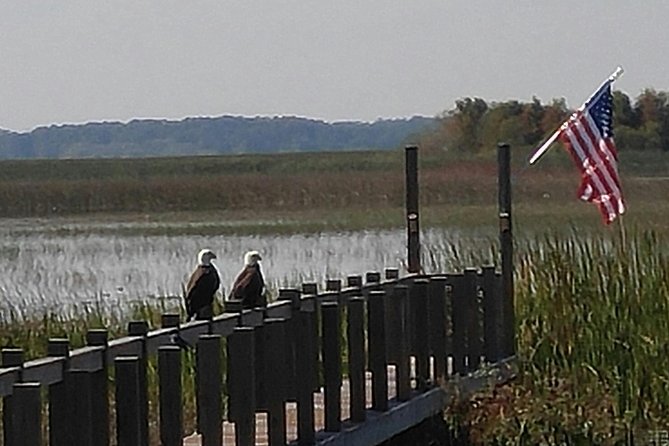 Everglades Airboat Tour Near Orlando Florida - Booking and Cancellation