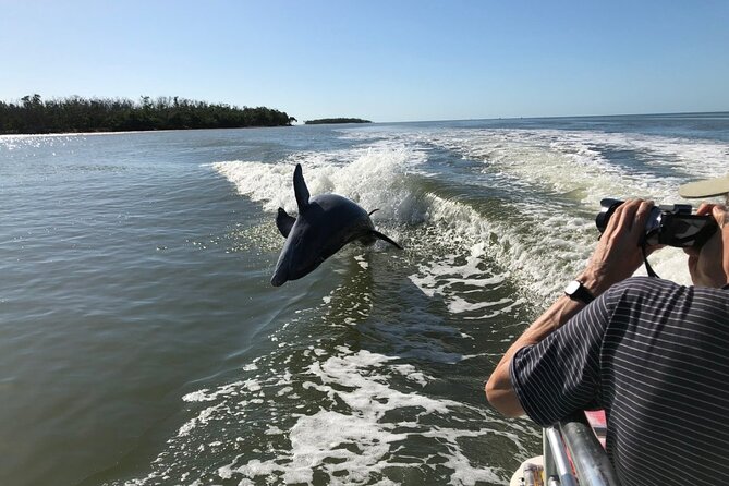 Everglades Day Safari From Ft Lauderdale - Customer Reviews and Highlights