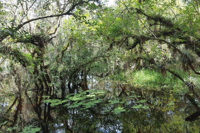 Everglades National Park Biologist Led Adventure: Cruise, Hike Airboat - Logistics and Pickup