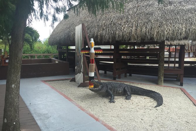Everglades Tour From Miami With Transportation - Customer Reviews and Feedback