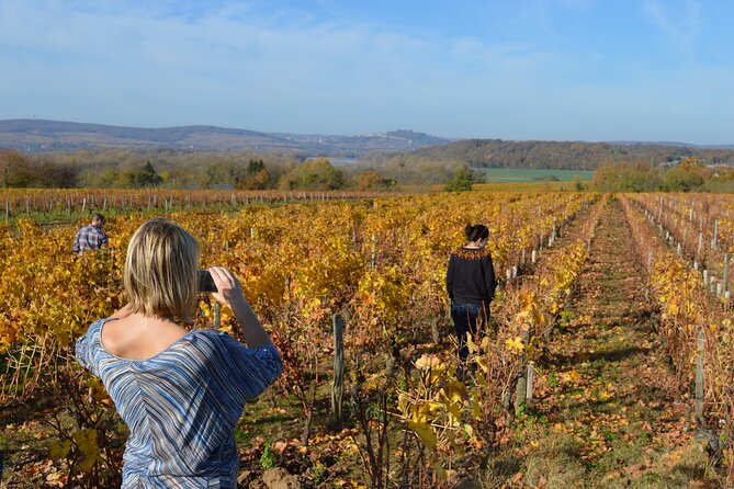 Exclusive Wine Tour in Sancerre & Pouilly Fumé From Paris - Traveler Reviews