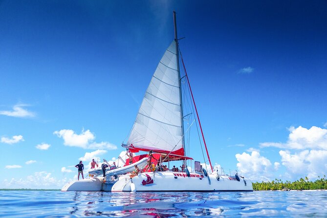 Excursion to Tetiaroa by Catamaran Visit Lunch Snorkeling - Tetiaroa Island Visit