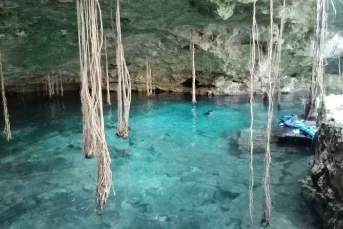 Five Cenotes Jungle Experience in the Riviera Maya - Customer Feedback and Reviews