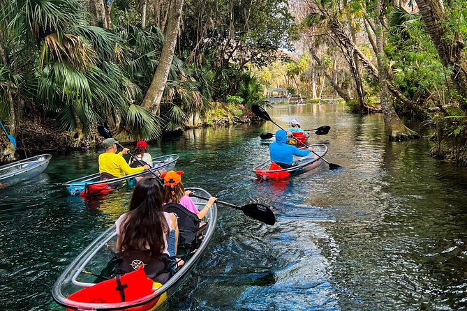 Florida: Silver Springs Small-Group Clear Kayaking Tour  - Orlando - Meeting and Logistics