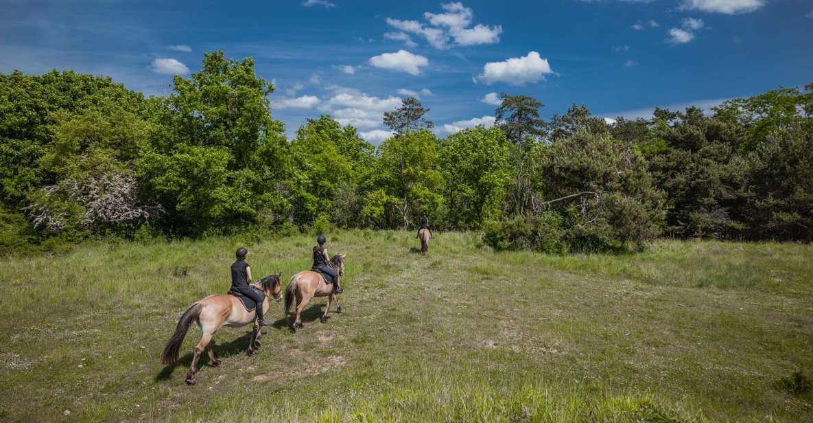 Fontainebleau: Horse-riding, Gastronomy & Château - Highlights