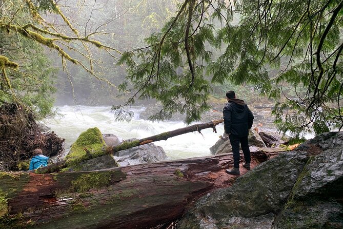 Forest Hike to Gorgeous Twin and Snoqualmie Falls - Tour Logistics