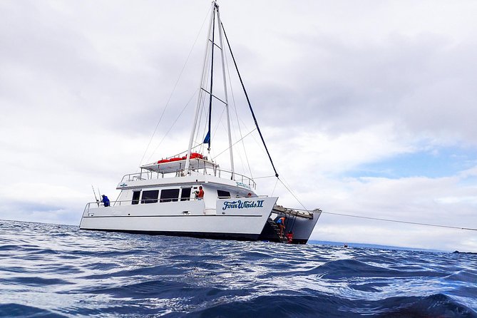 Four Winds II Molokini Snorkeling Tour From Maalaea Harbor - Additional Information