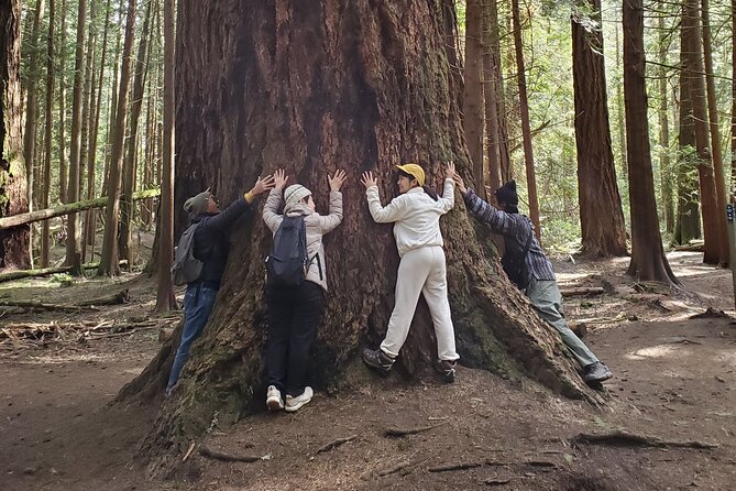 Francis King Regional Park Forest Bathing  - Vancouver Island - Cancellation Policy and Refunds