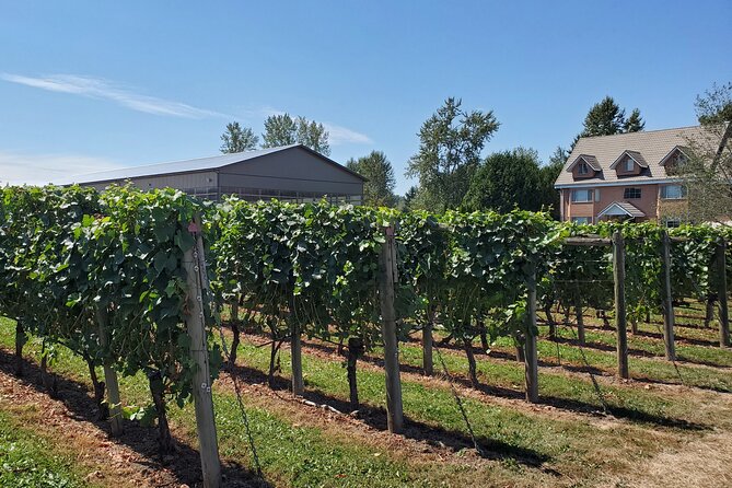 Fraser Valley Wine Tour With a Light Lunch From Vancouver - Itinerary Highlights