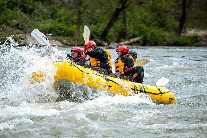 French Broad Gorge Whitewater Rafting Trip - Booking Process