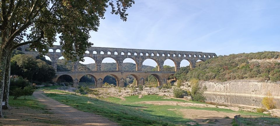 From Aix-en-Provence: Avignon City Highlights Guided Tour - Highlights of the Guided Tour