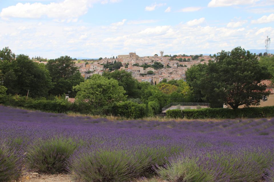 From Aix-En-Provence: Lavender Experience & Gorges Du Verdon - Gorges Du Verdon Scenic Drive