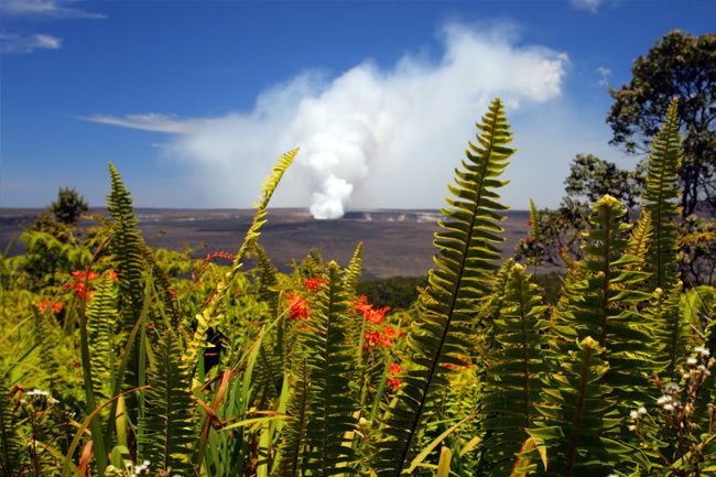 From Oahu: Big Island Volcano & Helicopter Adventure - Activity Information