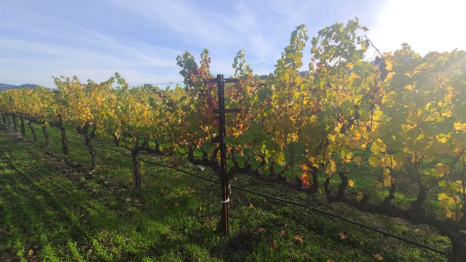 From San Francisco: Napa and Sonoma Private Wine Tour - Inclusions