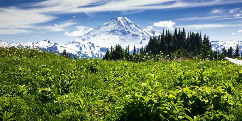 From Seattle - Enchanting Mt Baker & Cascade Mountains Tours - Booking Information