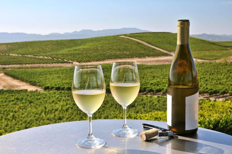 From SFO - Enchanted Napa & Sonoma Wine Tour in SUV - Booking Details